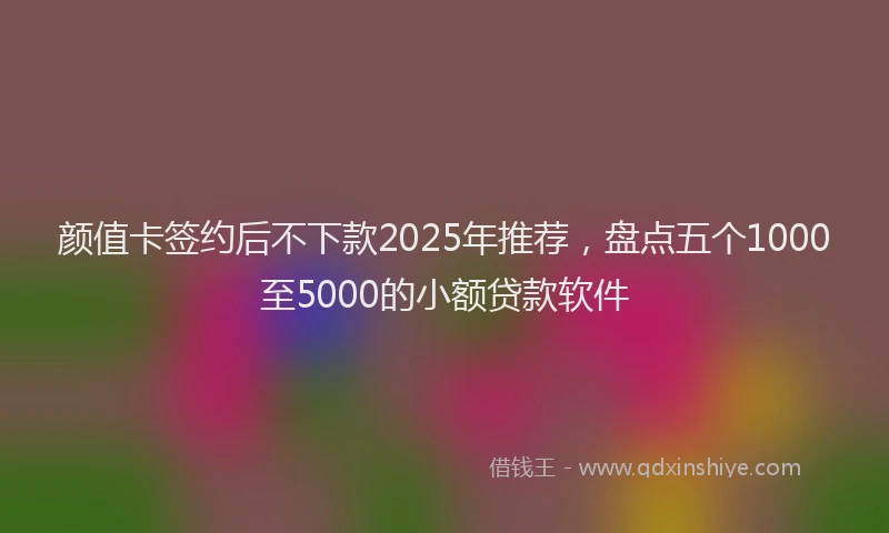 颜值卡签约后不下款2025年推荐，盘点五个1000至5000的小额贷款软件