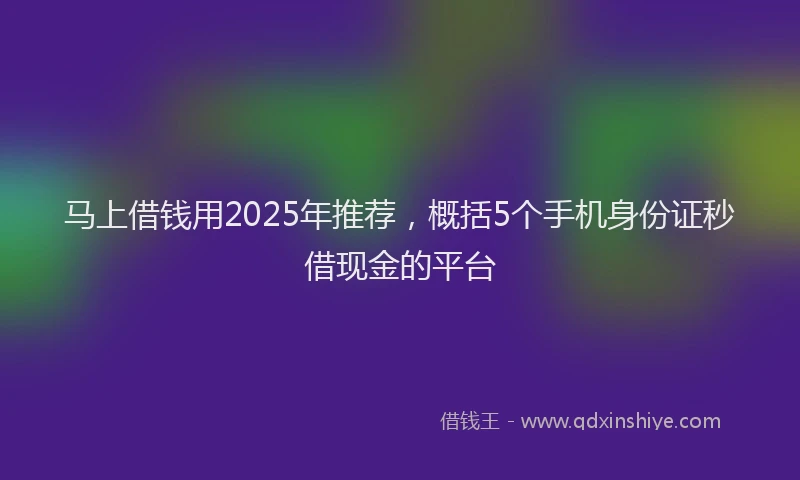 马上借钱用2025年推荐，概括5个手机身份证秒借现金的平台