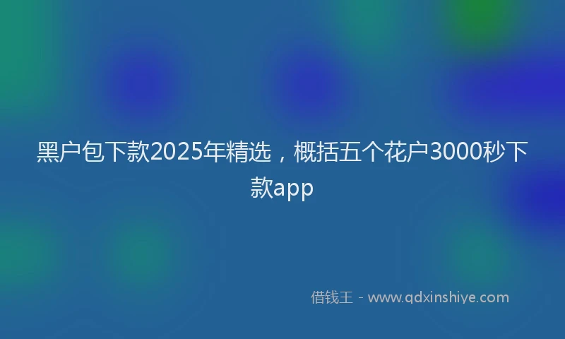 黑户包下款2025年精选，概括五个花户3000秒下款app
