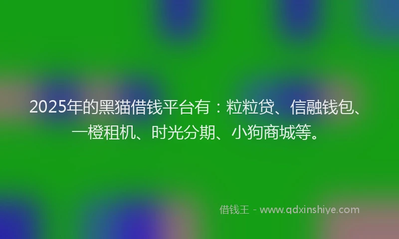 2025年的黑猫借钱平台有：粒粒贷、信融钱包、一橙租机、时光分期、小狗商城等。