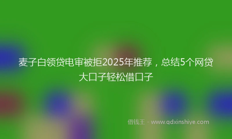 麦子白领贷电审被拒2025年推荐，总结5个网贷大口子轻松借口子