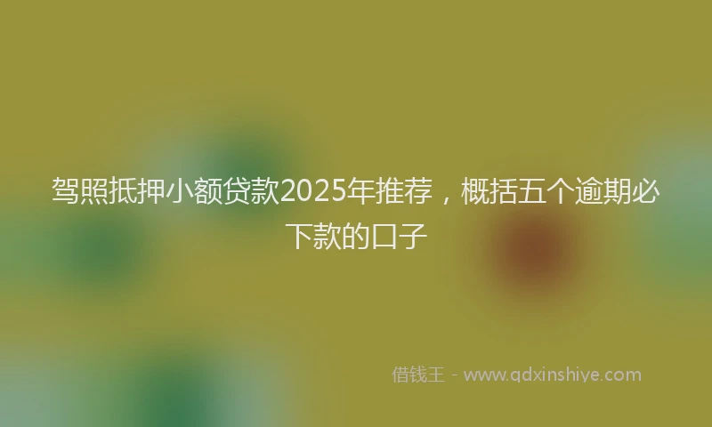 驾照抵押小额贷款2025年推荐，概括五个逾期必下款的口子