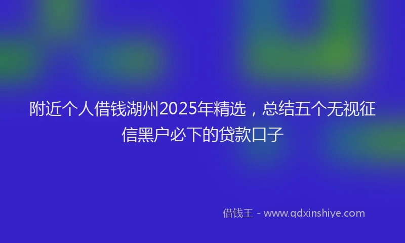附近个人借钱湖州2025年精选，总结五个无视征信黑户必下的贷款口子