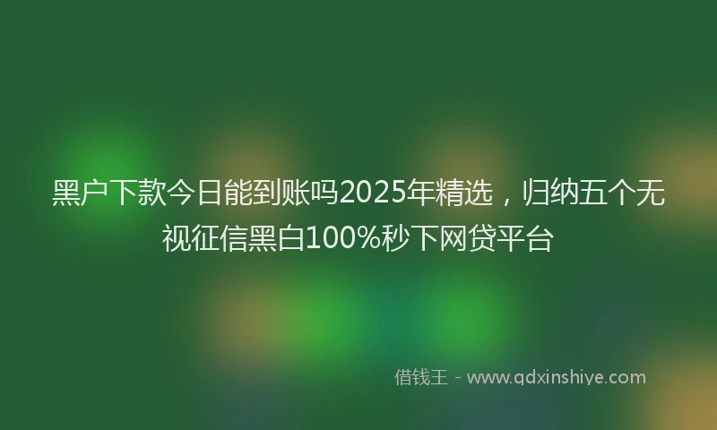 黑户下款今日能到账吗2025年精选，归纳五个无视征信黑白100%秒下网贷平台