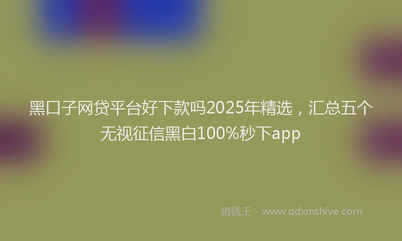 黑口子网贷平台好下款吗2025年精选，汇总五个无视征信黑白100%秒下app
