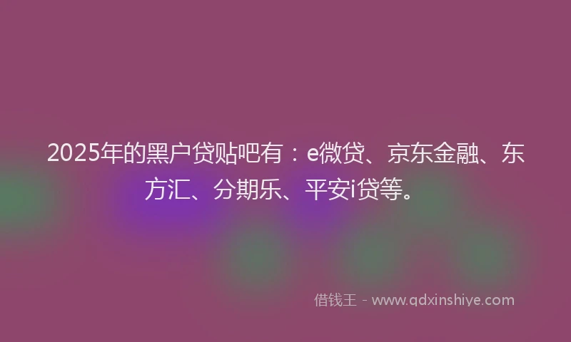 2025年的黑户贷贴吧有：e微贷、京东金融、东方汇、分期乐、平安i贷等。