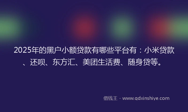 2025年的黑户小额贷款有哪些平台有：小米贷款、还呗、东方汇、美团生活费、随身贷等。