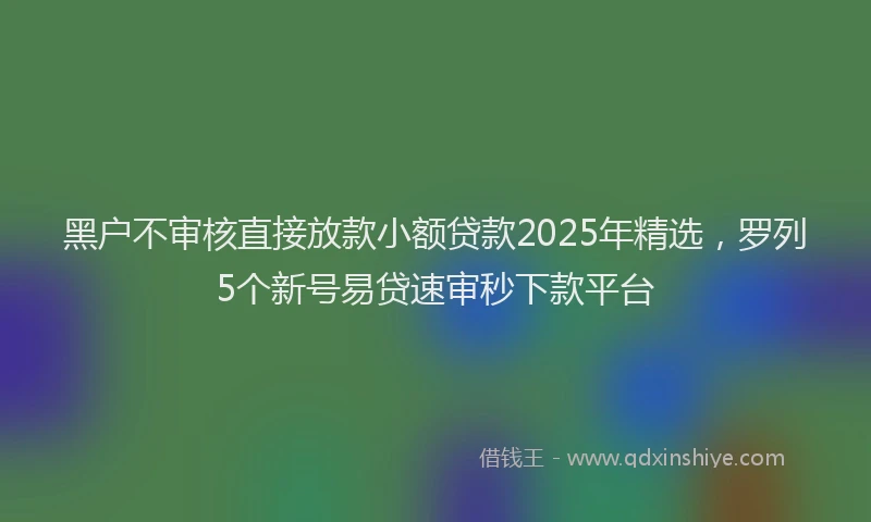 黑户不审核直接放款小额贷款2025年精选，罗列5个新号易贷速审秒下款平台