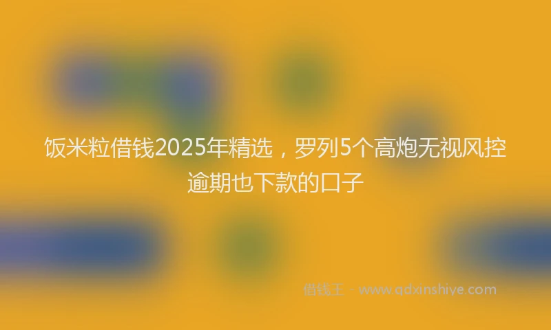 饭米粒借钱2025年精选，罗列5个高炮无视风控逾期也下款的口子