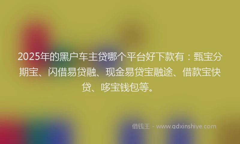 2025年的黑户车主贷哪个平台好下款有:甄宝分期宝、闪借易贷融、现金易贷宝融途、借款宝快贷、哆宝钱包等。