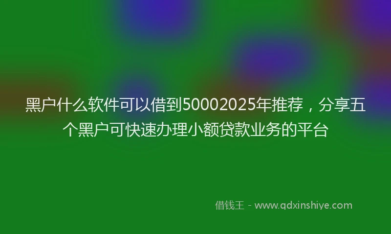 黑户什么软件可以借到50002025年推荐，分享五个黑户可快速办理小额贷款业务的平台