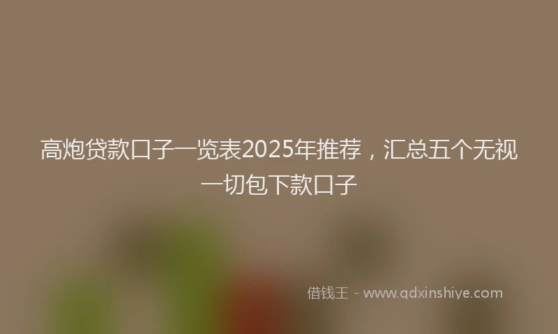 高炮贷款口子一览表2025年推荐，汇总五个无视一切包下款口子