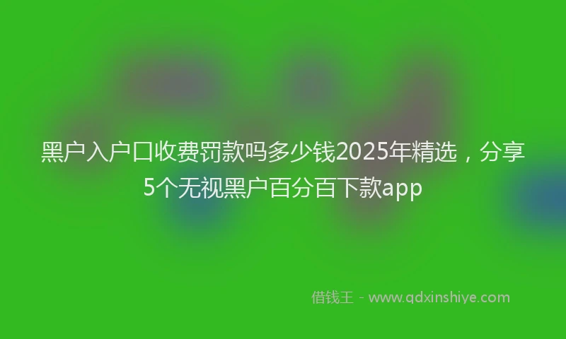 黑户入户口收费罚款吗多少钱2025年精选，分享5个无视黑户百分百下款app
