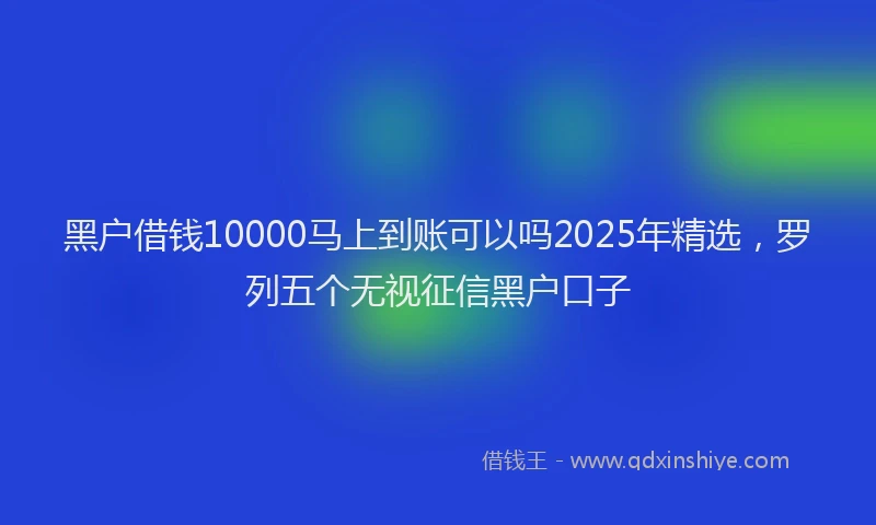 黑户借钱10000马上到账可以吗2025年精选，罗列五个无视征信黑户口子