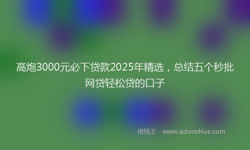 高炮3000元必下贷款2025年精选，总结五个秒批网贷轻松贷的口子