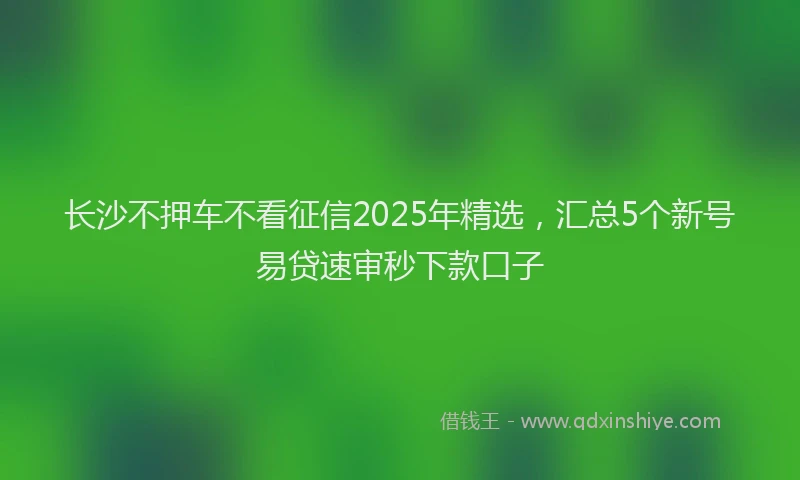 长沙不押车不看征信2025年精选，汇总5个新号易贷速审秒下款口子