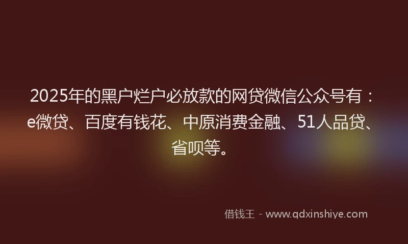2025年的黑户烂户必放款的网贷微信公众号有：e微贷、百度有钱花、中原消费金融、51人品贷、省呗等。