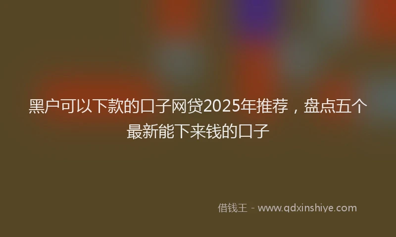 黑户可以下款的口子网贷2025年推荐，盘点五个最新能下来钱的口子