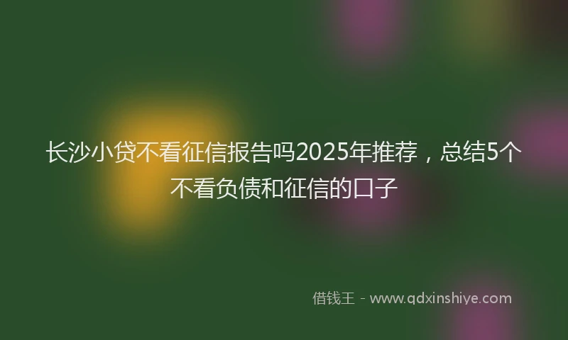长沙小贷不看征信报告吗2025年推荐，总结5个不看负债和征信的口子