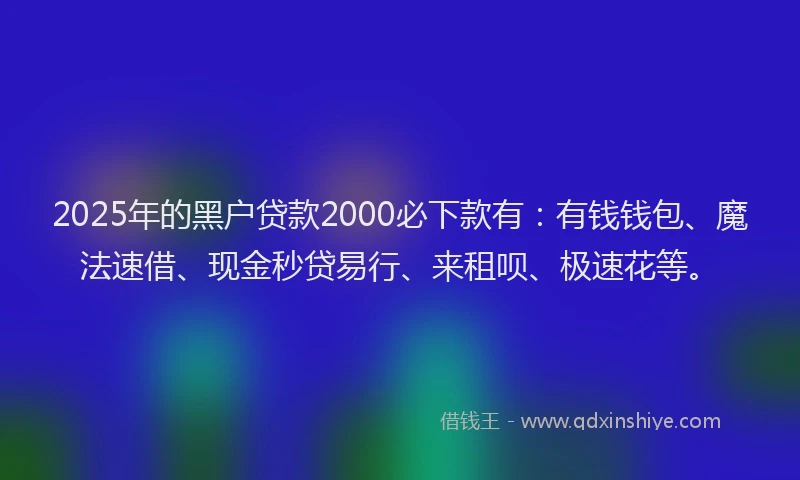 2025年的黑户贷款2000必下款有：有钱钱包、魔法速借、现金秒贷易行、来租呗、极速花等。