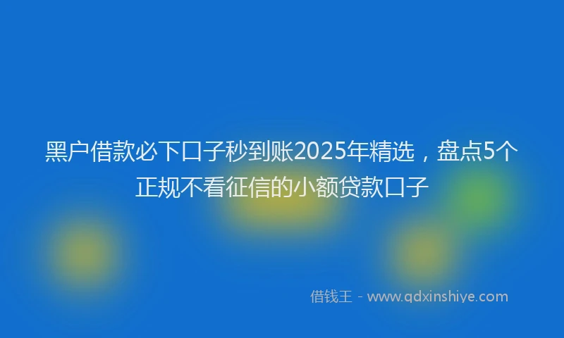 黑户借款必下口子秒到账2025年精选，盘点5个正规不看征信的小额贷款口子
