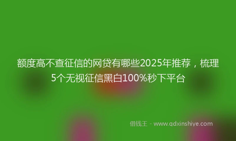 额度高不查征信的网贷有哪些2025年推荐，梳理5个无视征信黑白100%秒下平台
