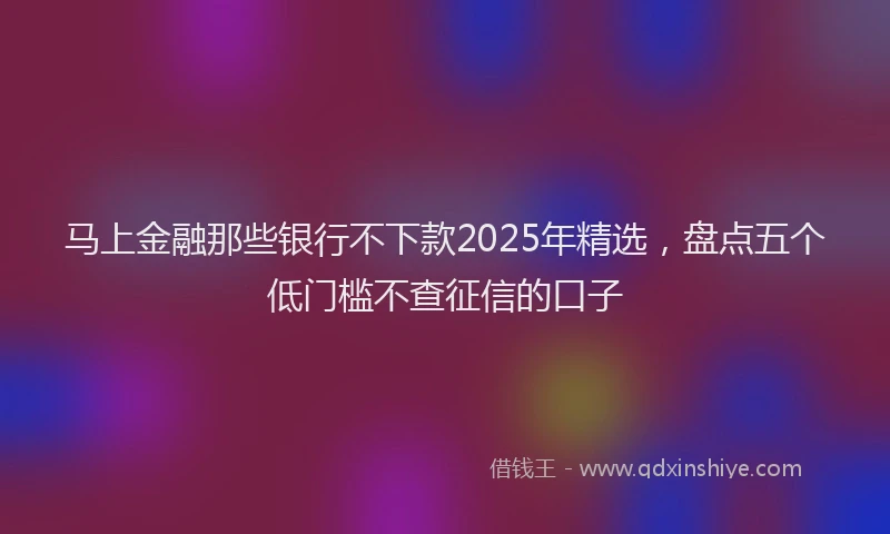 马上金融那些银行不下款2025年精选，盘点五个低门槛不查征信的口子