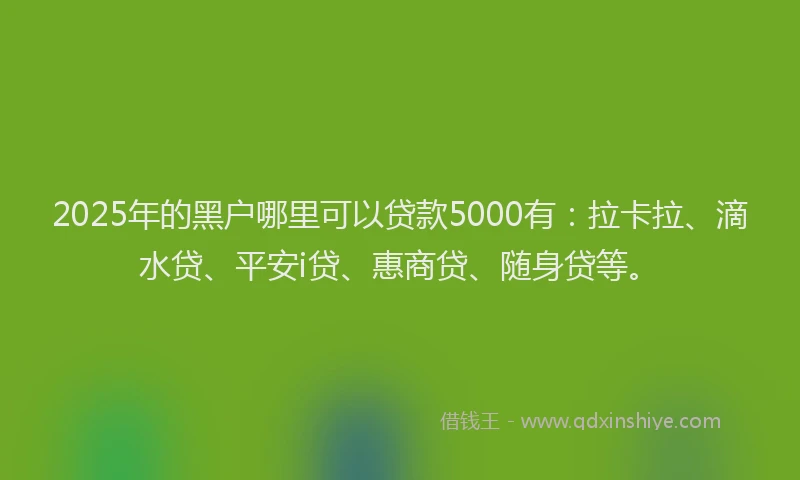 2025年的黑户哪里可以贷款5000有：拉卡拉、滴水贷、平安i贷、惠商贷、随身贷等。