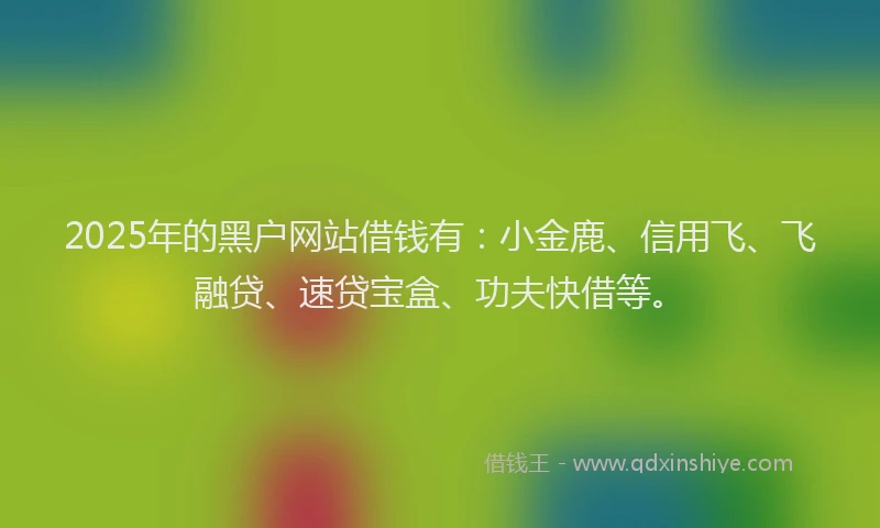 2025年的黑户网站借钱有：小金鹿、信用飞、飞融贷、速贷宝盒、功夫快借等。