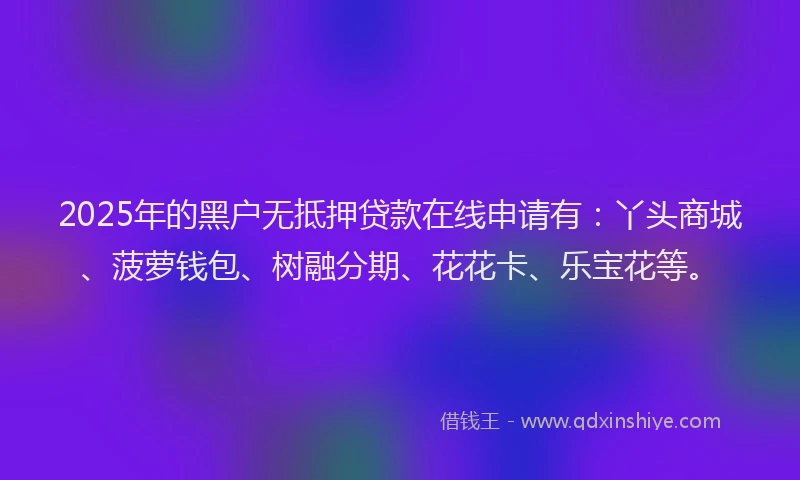 2025年的黑户无抵押贷款在线申请有：丫头商城、菠萝钱包、树融分期、花花卡、乐宝花等。