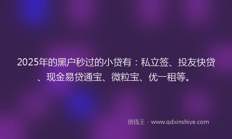 2025年的黑户秒过的小贷有:私立签、投友快贷、现金易贷通宝、微粒宝、优一租等。