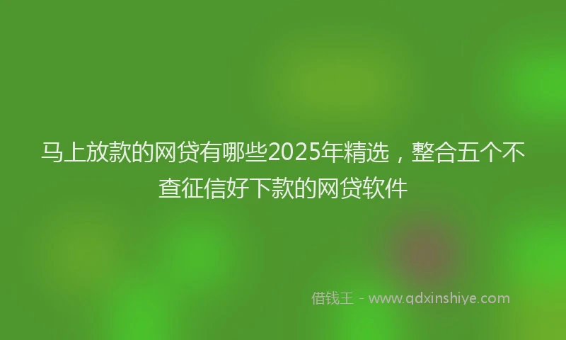 马上放款的网贷有哪些2025年精选，整合五个不查征信好下款的网贷软件