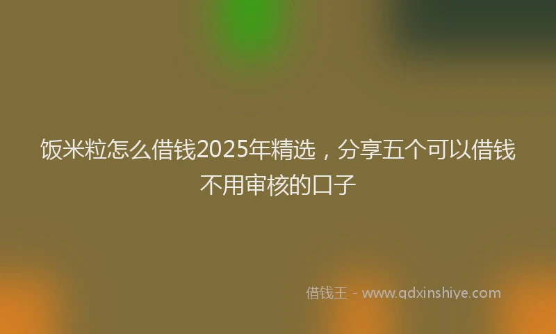 饭米粒怎么借钱2025年精选，分享五个可以借钱不用审核的口子