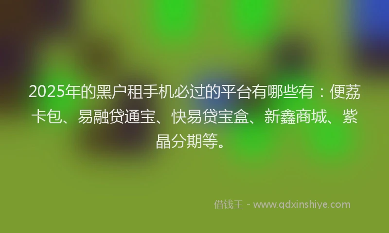 2025年的黑户租手机必过的平台有哪些有：便荔卡包、易融贷通宝、快易贷宝盒、新鑫商城、紫晶分期等。