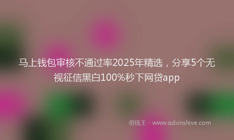 马上钱包审核不通过率2025年精选，分享5个无视征信黑白100%秒下网贷app