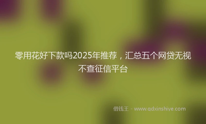 零用花好下款吗2025年推荐，汇总五个网贷无视不查征信平台