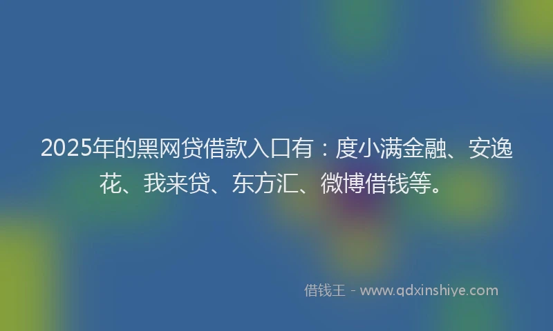 2025年的黑网贷借款入口有：度小满金融、安逸花、我来贷、东方汇、微博借钱等。