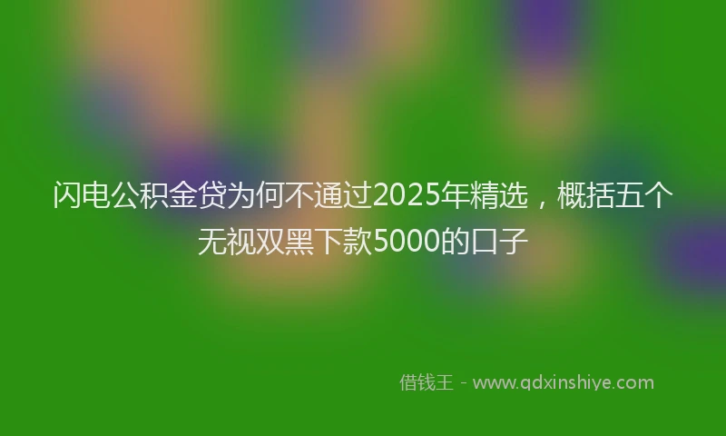 闪电公积金贷为何不通过2025年精选，概括五个无视双黑下款5000的口子