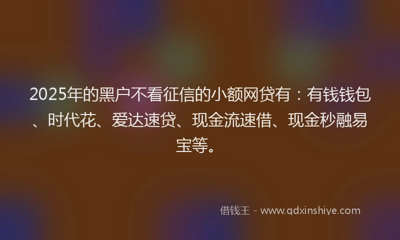 2025年的黑户不看征信的小额网贷有：有钱钱包、时代花、爱达速贷、现金流速借、现金秒融易宝等。