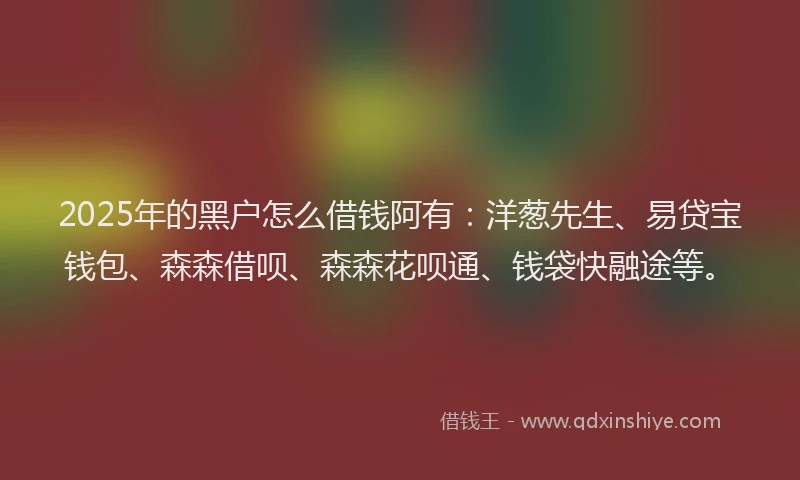 2025年的黑户怎么借钱阿有：洋葱先生、易贷宝钱包、森森借呗、森森花呗通、钱袋快融途等。
