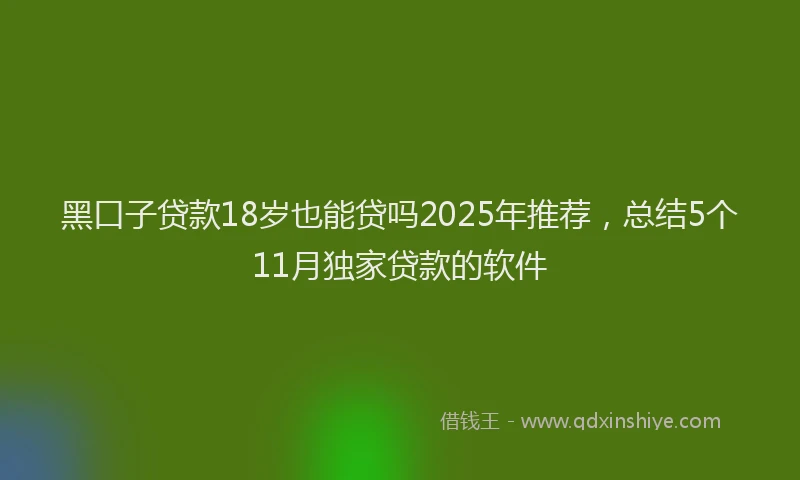 黑口子贷款18岁也能贷吗2025年推荐，总结5个11月独家贷款的软件