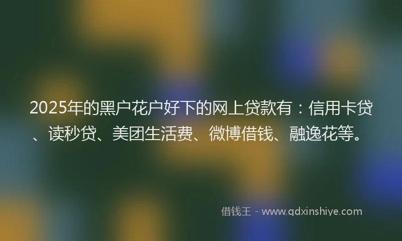 2025年的黑户花户好下的网上贷款有：信用卡贷、读秒贷、美团生活费、微博借钱、融逸花等。