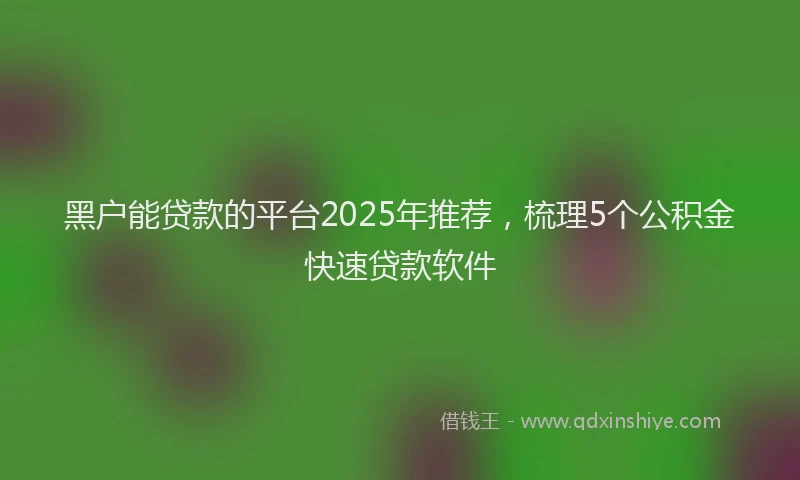 黑户能贷款的平台2025年推荐，梳理5个公积金快速贷款软件