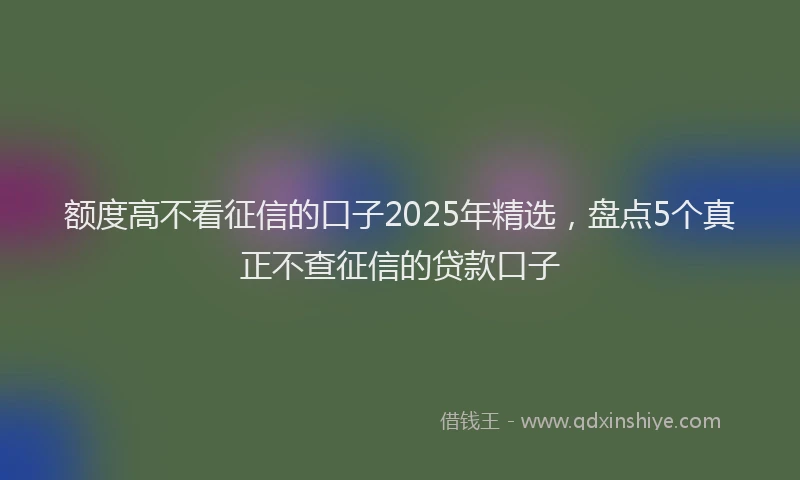 额度高不看征信的口子2025年精选，盘点5个真正不查征信的贷款口子