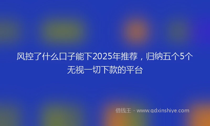 风控了什么口子能下2025年推荐，归纳五个5个无视一切下款的平台