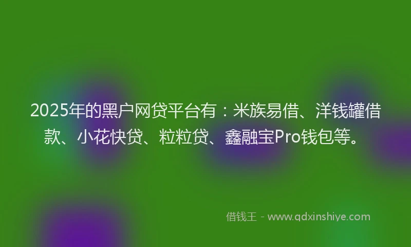 2025年的黑户网贷平台有：米族易借、洋钱罐借款、小花快贷、粒粒贷、鑫融宝Pro钱包等。