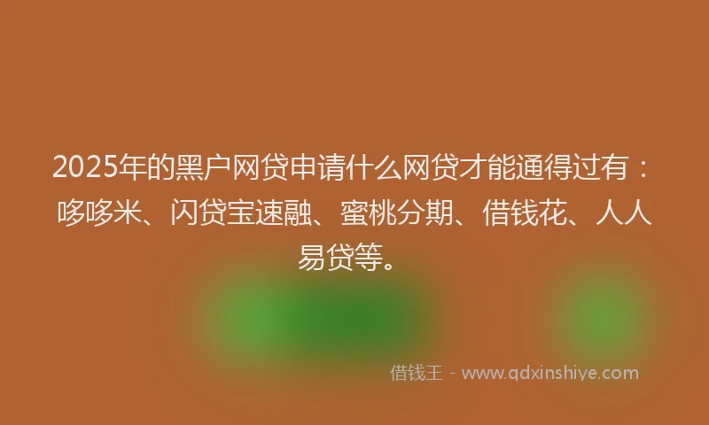2025年的黑户网贷申请什么网贷才能通得过有：哆哆米、闪贷宝速融、蜜桃分期、借钱花、人人易贷等。