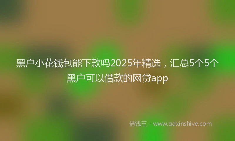 黑户小花钱包能下款吗2025年精选，汇总5个5个黑户可以借款的网贷app