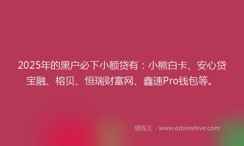 2025年的黑户必下小额贷有：小熊白卡、安心贷宝融、榕贝、恒瑞财富网、鑫速Pro钱包等。