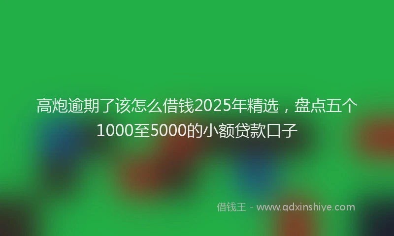 高炮逾期了该怎么借钱2025年精选，盘点五个1000至5000的小额贷款口子